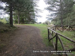 sco di Centorbi-24-11-2013 17-32-41